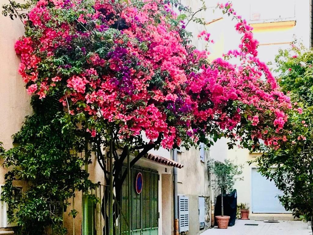 Le caillou à la Ponche St Tropez Saint-Tropez Exterior foto